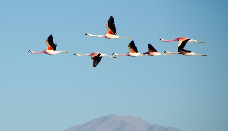 How to: Key benefits of effective stakeholders mapping & engagement