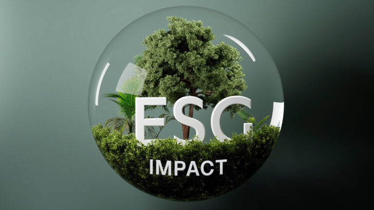 Impact Assessment (service)